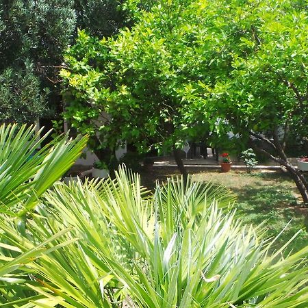 Pension Vice Gradac  Exterior foto