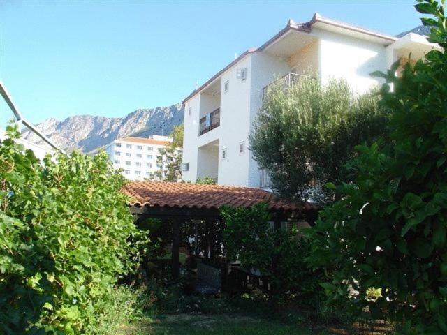 Pension Vice Gradac  Exterior foto