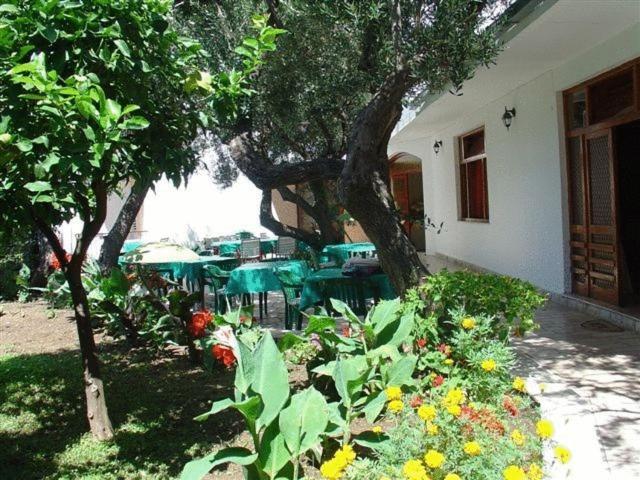 Pension Vice Gradac  Exterior foto