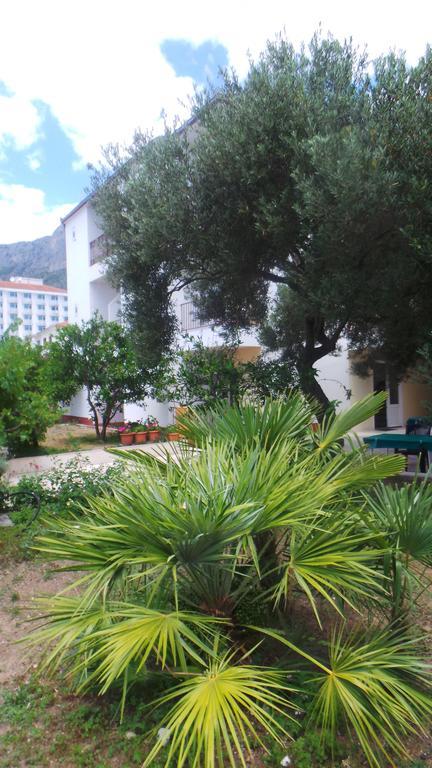Pension Vice Gradac  Exterior foto